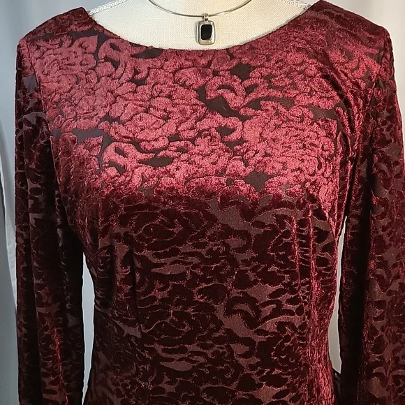 SLNY Deep Red Velvet Dress - Picture 2 of 7